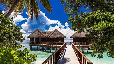 旅游度假景觀生態(tài)設計的原則有哪些？