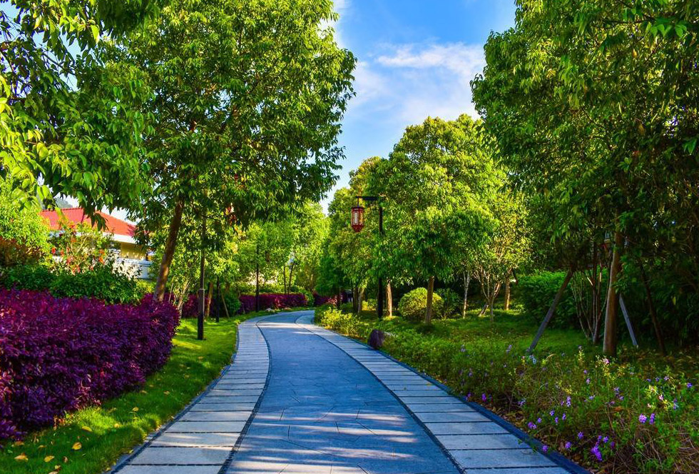 城市公園設(shè)計圖片