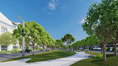 園林設(shè)計的過程中植物配置應注意的問題