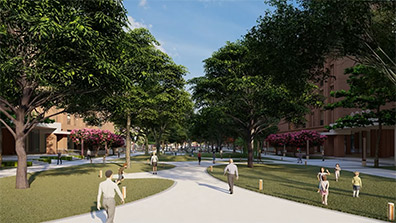 學校綠地改造設(shè)計的總體布局與功能分區(qū)